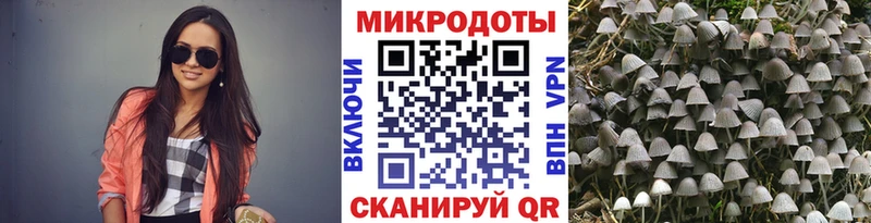 Псилоцибиновые грибы ЛСД omg вход Суворов цены наркотик